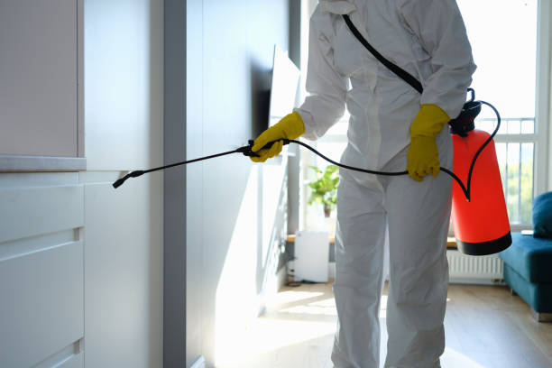 Mold Removal and Inspection in Potosi, MO