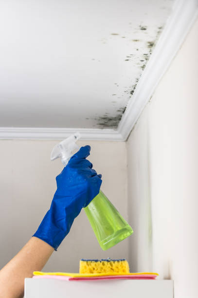 Best Crawl Space Mold Removal  in Potosi, MO